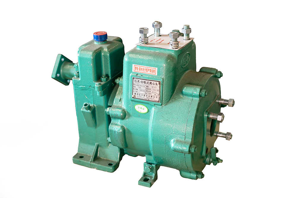 水泵65QZ50-110N(S)