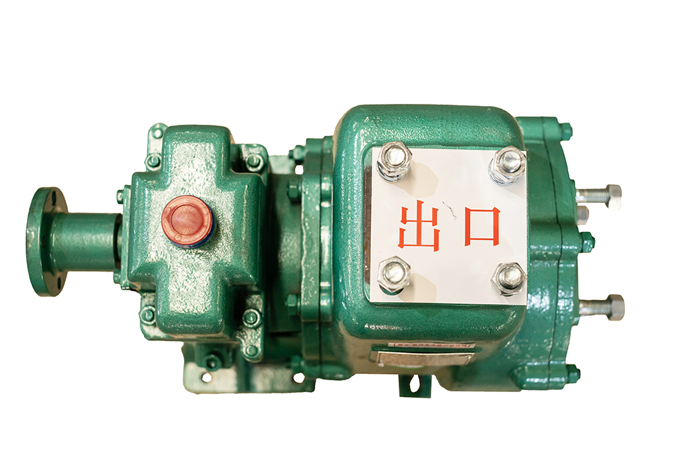 水泵65QZ50-110N(S)