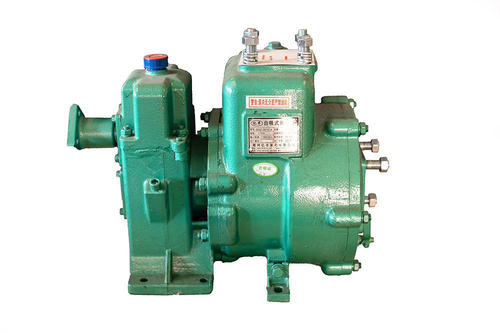 水泵65QZ50-110N（S）